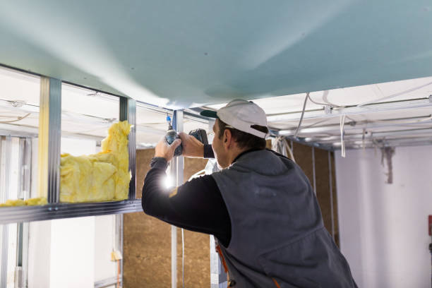 Best Professional Insulation Contractor  in Valley Stream, NY